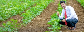 Landwirtschaftsrecht