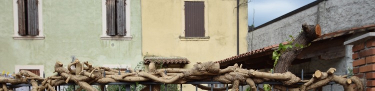 Anwalt Mietwohnung