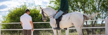 Reiter auf einem weißen Pferd und ein Experte für Reitsport