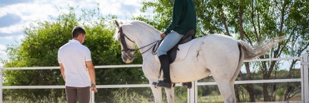 Behandlungsfehler beim Pferd: Wofür haftet der Tierarzt?