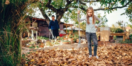 Herbstlaub: Wann und wie oft muss gefegt werden?