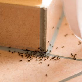 Mängel in der Wohnung - Mieter dürfen nicht eigenmächtig Handwerker beauftragen