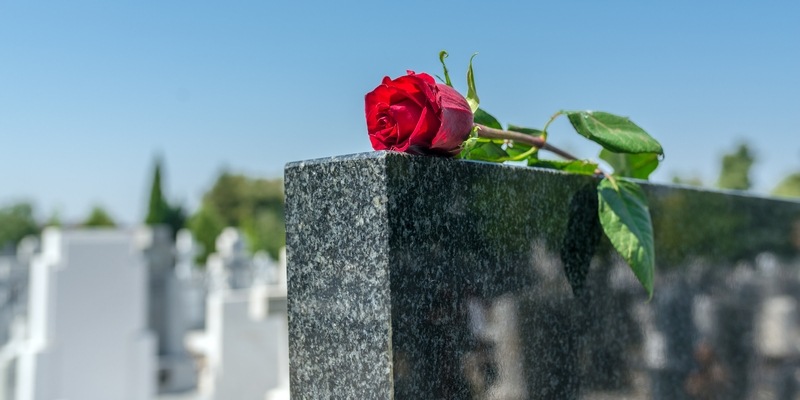 Rose liegt auf einem Grabstein