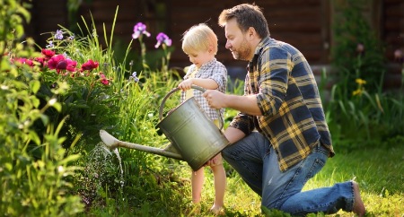 Gartennutzung und -pflege: Was ist Mietern erlaubt?