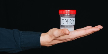 Samenspende bei Unverheirateten: Wer kommt für den Kindesunterhalt auf?